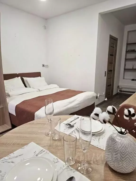 1-к кв. Санкт-Петербург Гражданская ул., 10 (21.0 м) - Фото 0