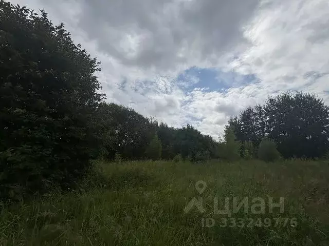 Участок в Московская область, Воскресенск городской округ, д. ... - Фото 1