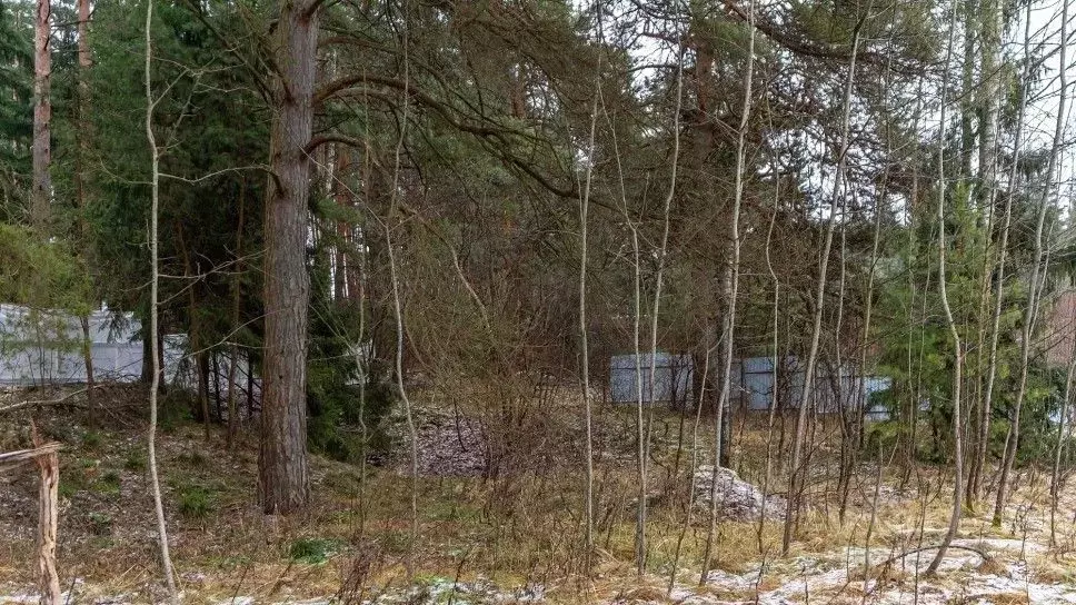 Участок в Московская область, Одинцовский городской округ, с. ... - Фото 1