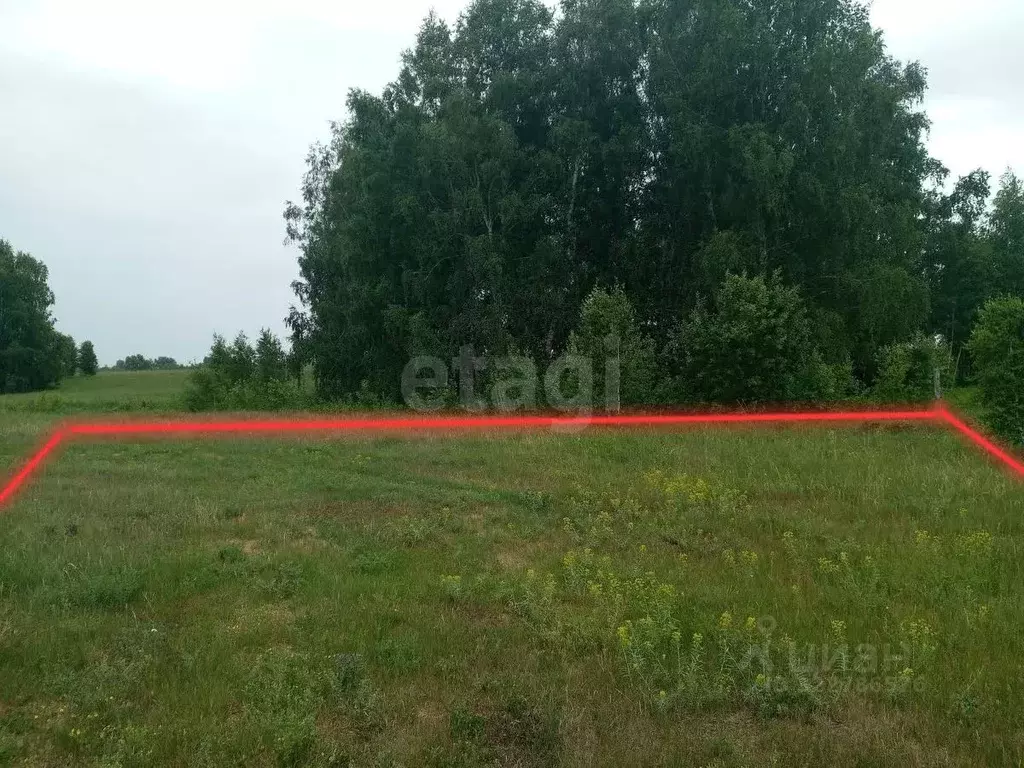 Участок в Новосибирская область, Колыванский район, с. Скала ул. 40 ... - Фото 2