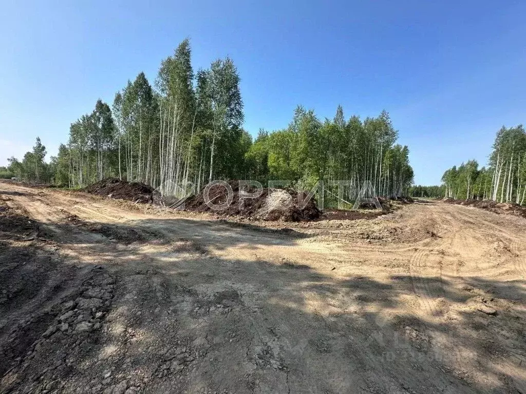Участок в Тюменская область, Нижнетавдинский район, Строитель ТСН  ... - Фото 1