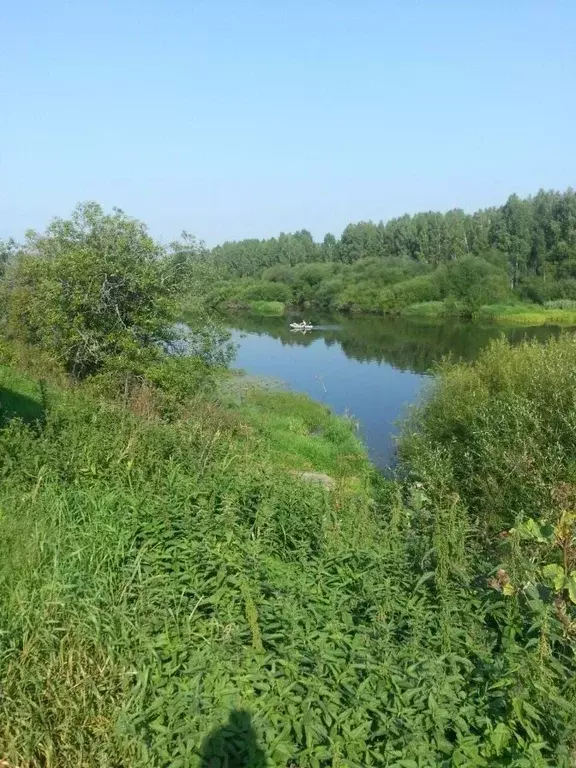 Дом в Свердловская область, Староуткинск муниципальный округ, д. Курья ... - Фото 1