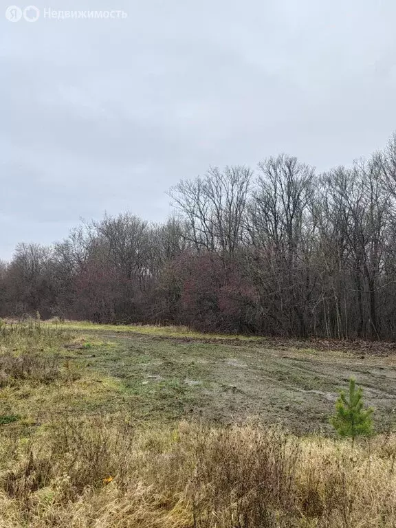 Участок в Волково, Советская улица, 2 (16 м) - Фото 1