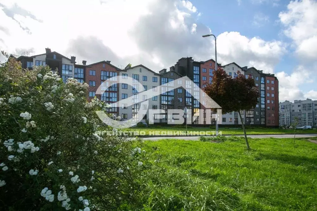 1-к кв. Калининградская область, Пионерский Октябрьская ул., 2к1 (26.6 ... - Фото 0