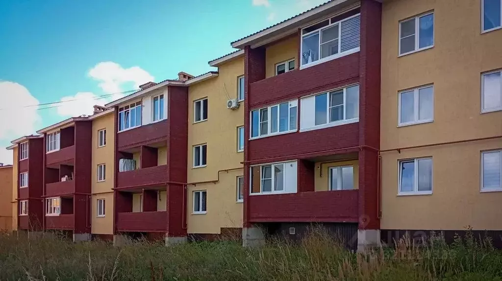 1-к кв. Ярославская область, Ярославский муниципальный округ, пос. ... - Фото 2