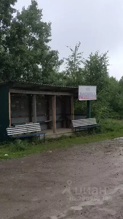Участок в Иркутская область, Иркутский муниципальный округ, Росинка ... - Фото 0