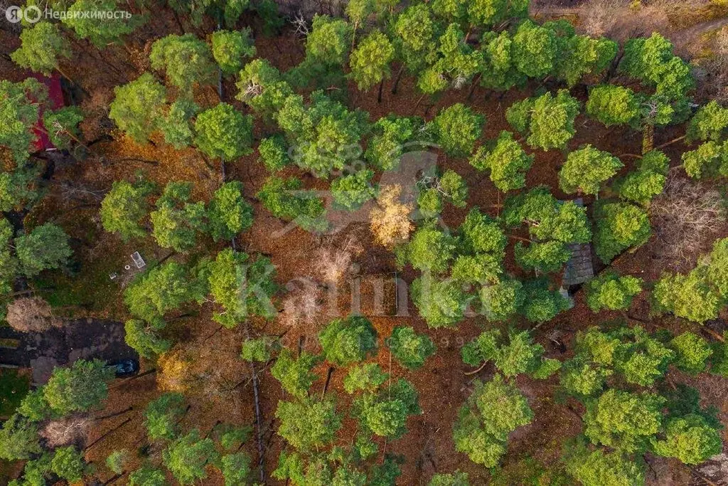 Участок в Москва, 2-я линия Хорошёвского Серебряного Бора (38.829998 ... - Фото 2