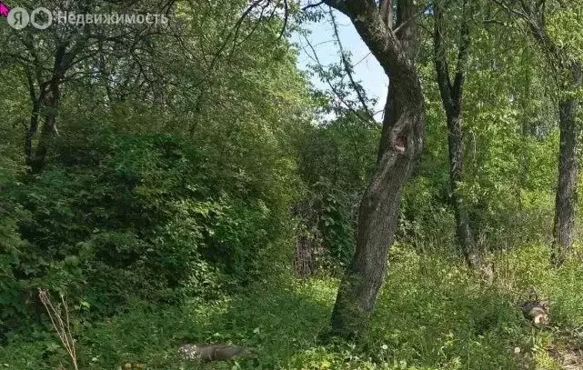 Участок в Рязань, район Южный (5.3 м) - Фото 0