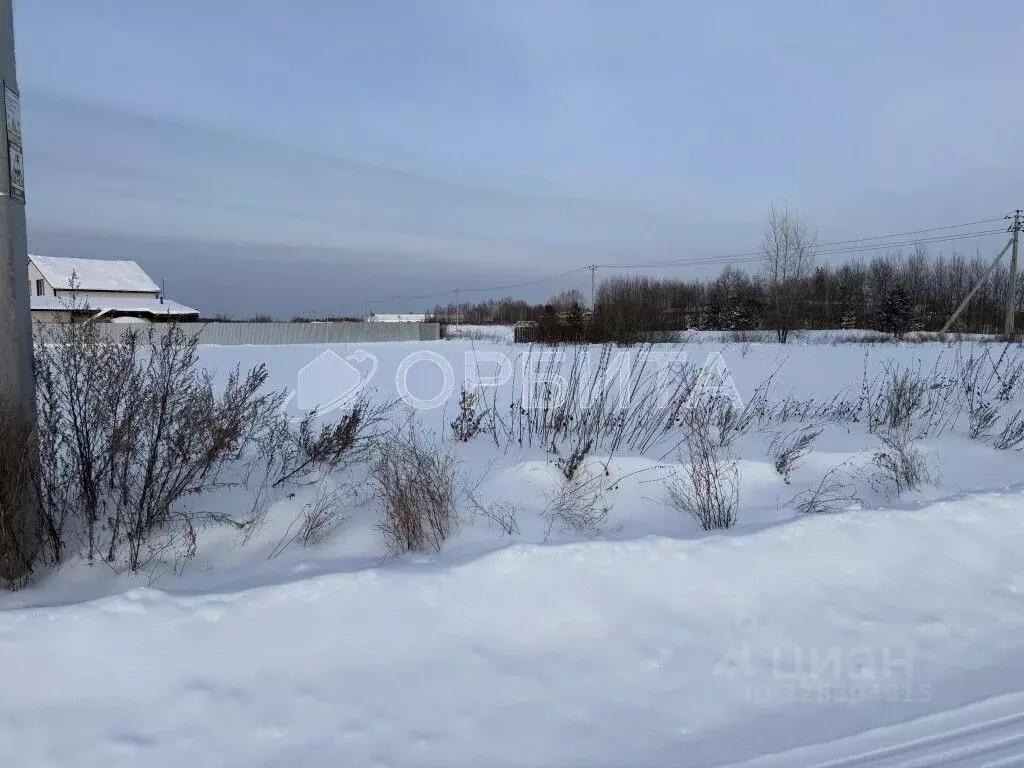 Участок в Тюменская область, Тюмень Царево садовое товарищество, ул. ... - Фото 2