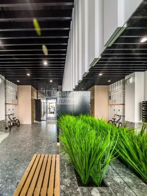 Студия Санкт-Петербург пос. Шушары, просп. Новгородский, 2к3 (25.3 м) - Фото 1