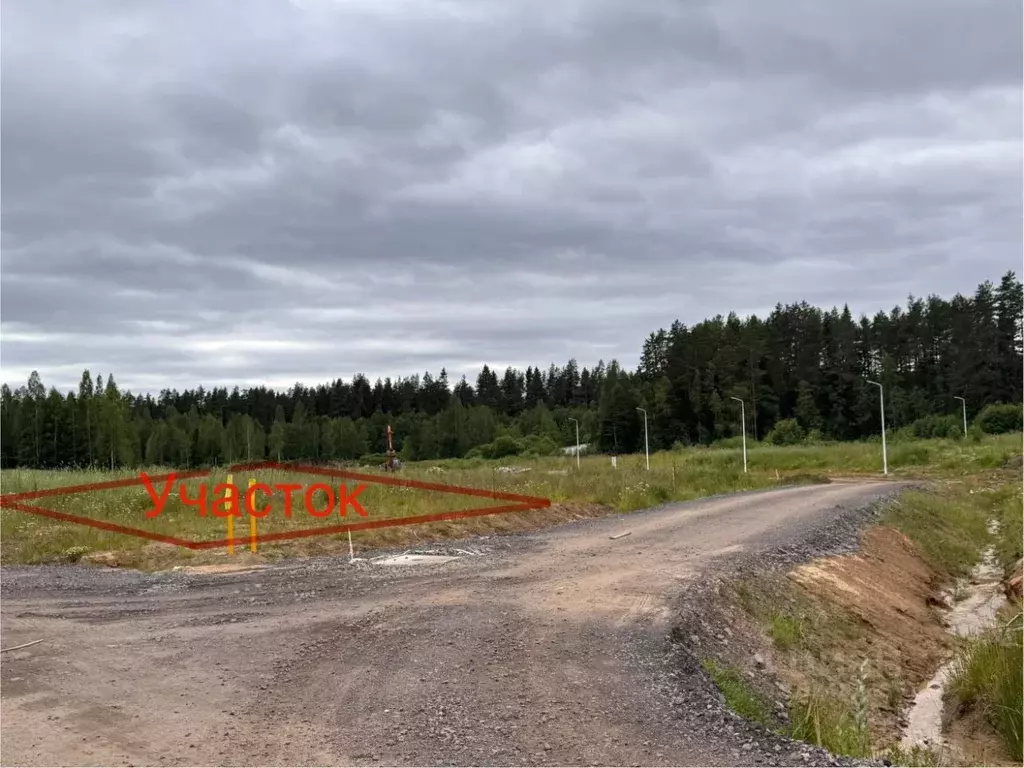 Участок в Ленинградская область, Приозерский район, Раздольевское ... - Фото 2