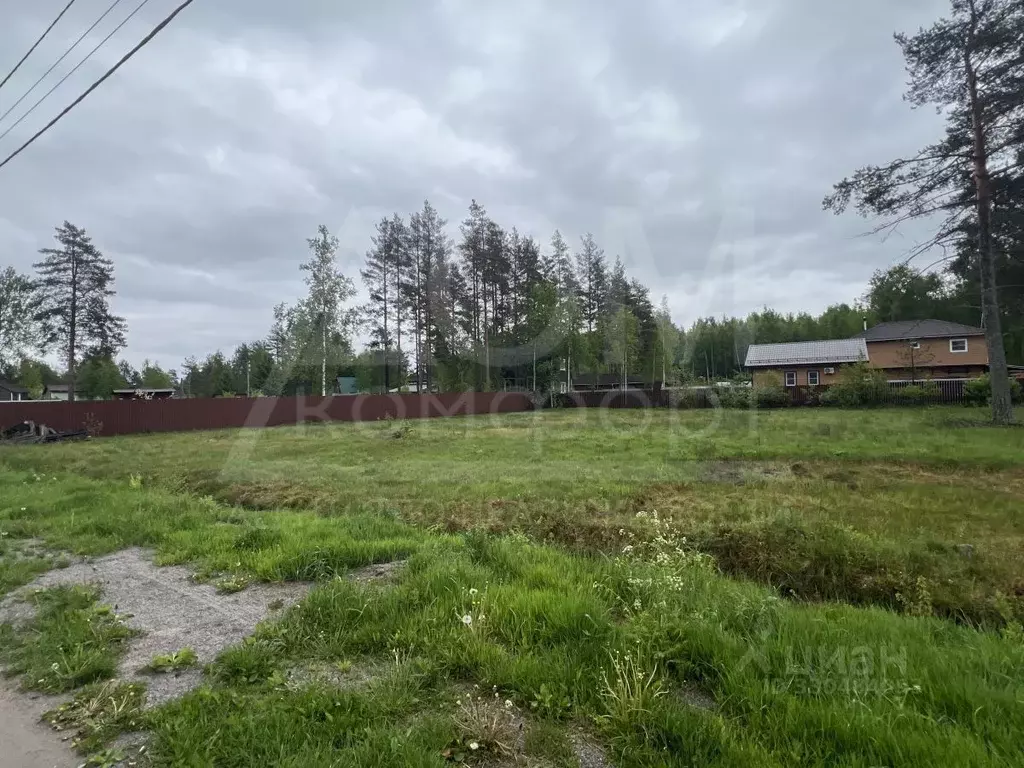 Участок в Ленинградская область, Приозерский район, Ларионовское ... - Фото 2