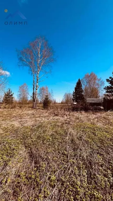 Участок в Вологодская область, д. Доманово  (41.0 сот.) - Фото 0