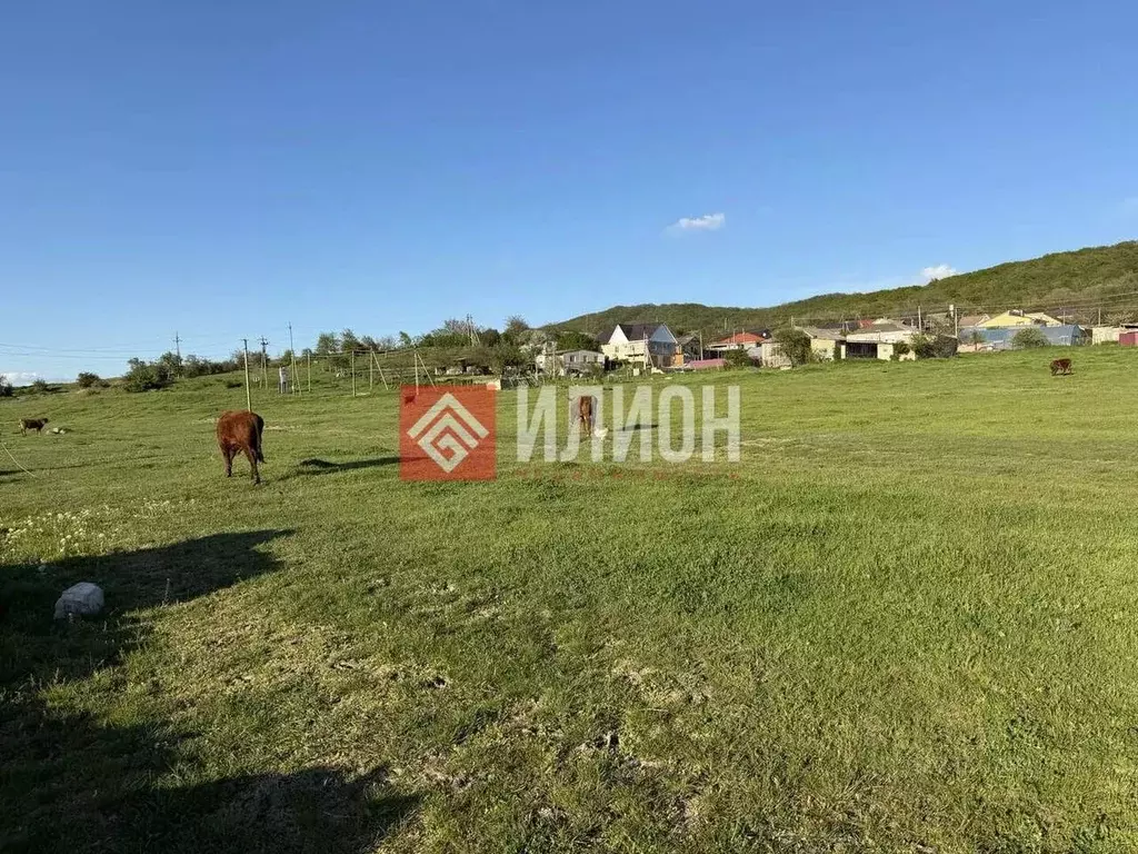 Участок в Крым, Судак муниципальный округ, с. Грушевка ул. Заречная ... - Фото 2