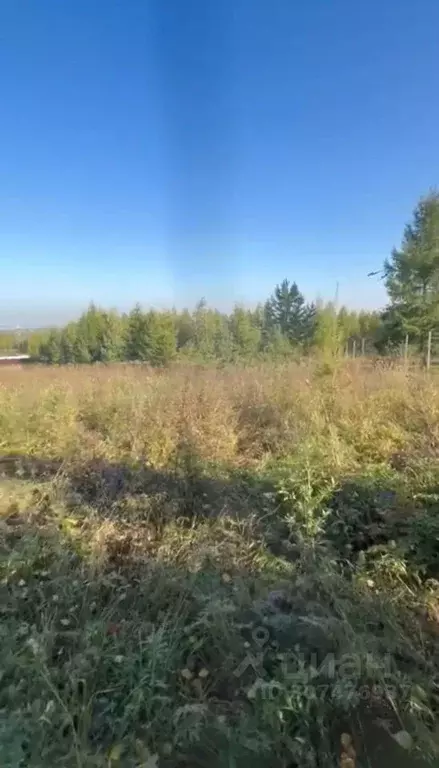 Участок в Красноярский край, Березовский район, Зыковский сельсовет, ... - Фото 0
