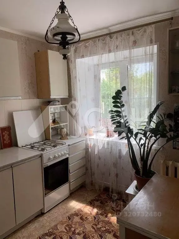 1-к кв. Нижегородская область, Саров ул. Карла Маркса, 4 (30.1 м) - Фото 1