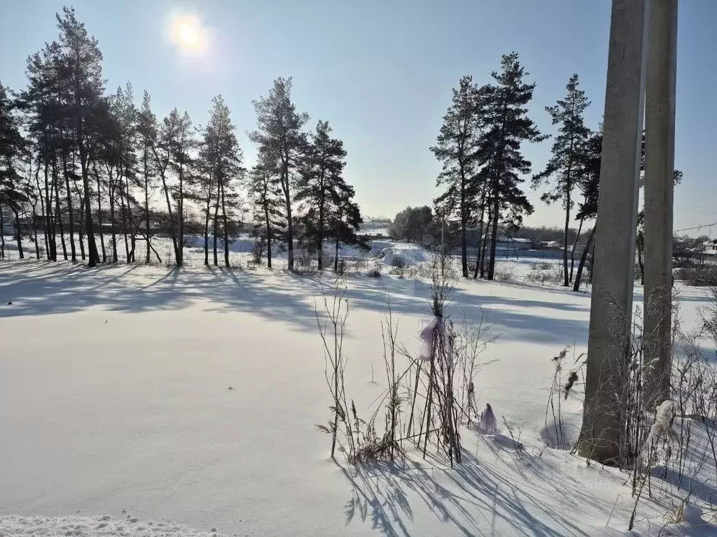 Участок в Воронежская область, Рамонский район, с. Новоживотинное ... - Фото 2