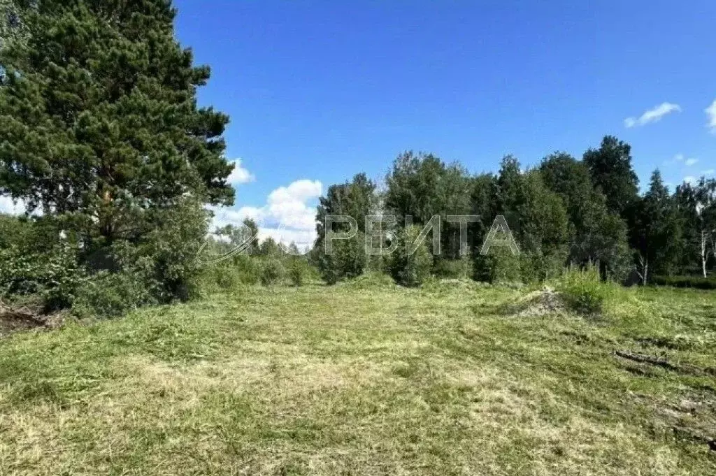 Участок в Тюменская область, Нижнетавдинский муниципальный округ, У ... - Фото 1