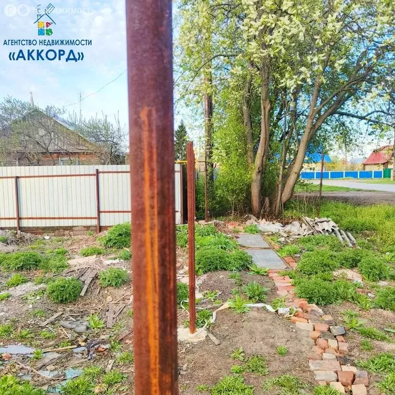 Участок в село Гоньба, улица Халманова (10 м) - Фото 0