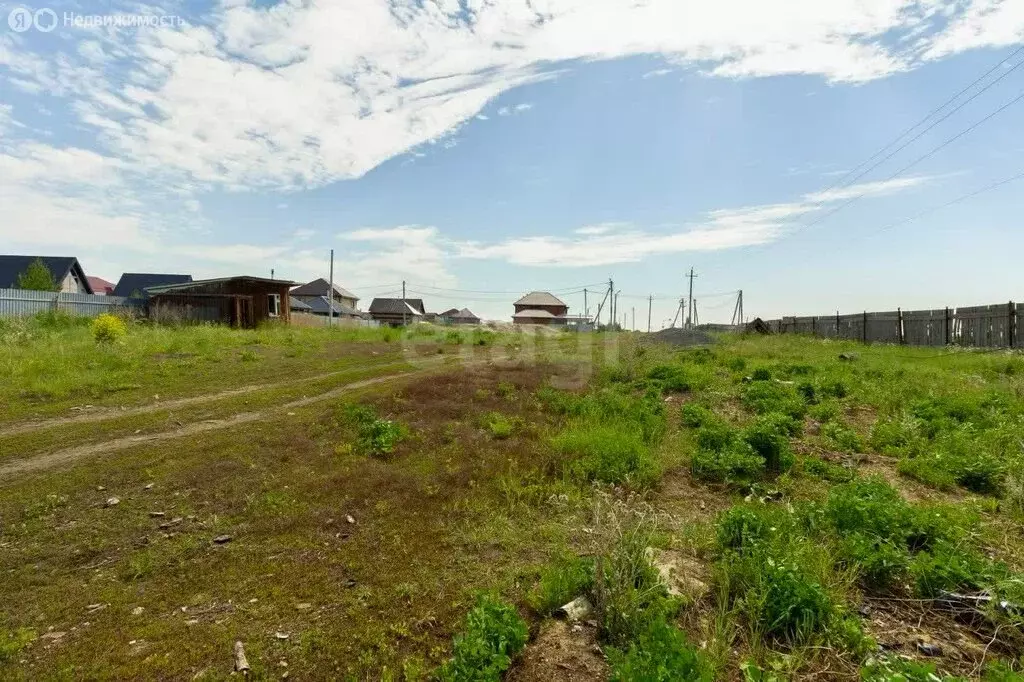 Участок в Тюменский муниципальный округ, деревня Насекина (24.8 м) - Фото 2