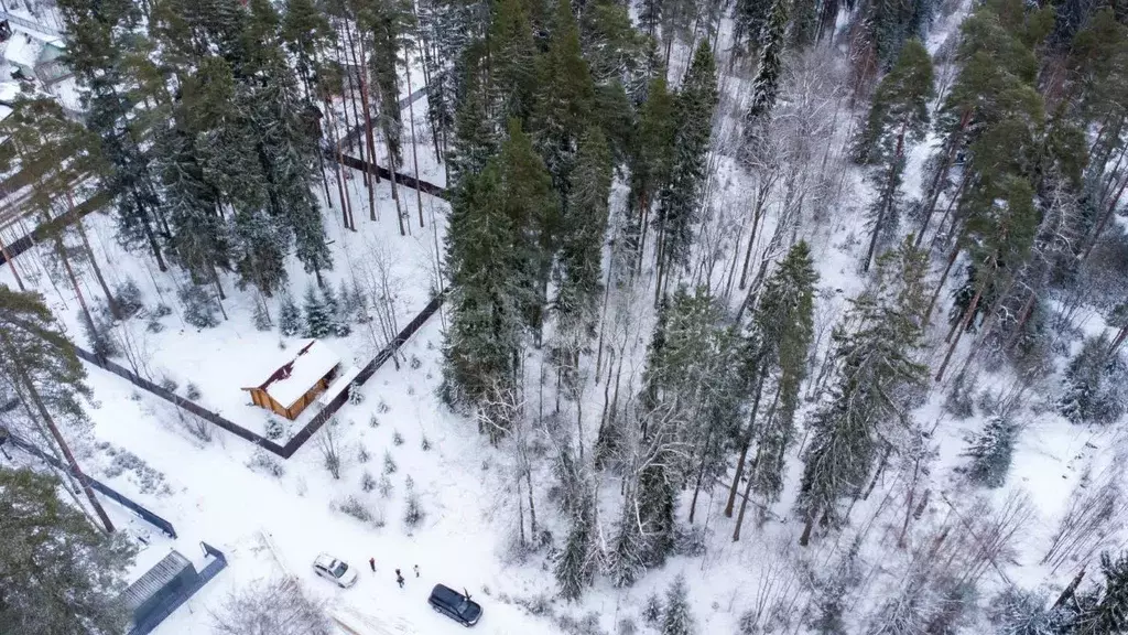 Участок в Ленинградская область, Гатчинский муниципальный округ, ... - Фото 1