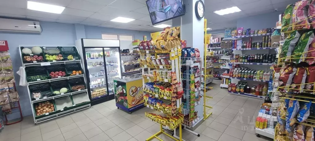 Помещение свободного назначения в Краснодарский край, Сочи Гагарина ... - Фото 1