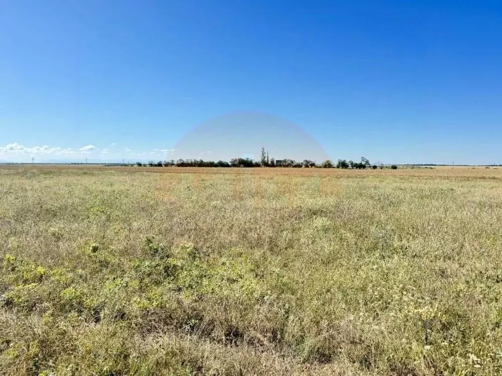 Участок в Крым, Сакский район, с. Фрунзе ул. Дорохина (10.0 сот.) - Фото 2