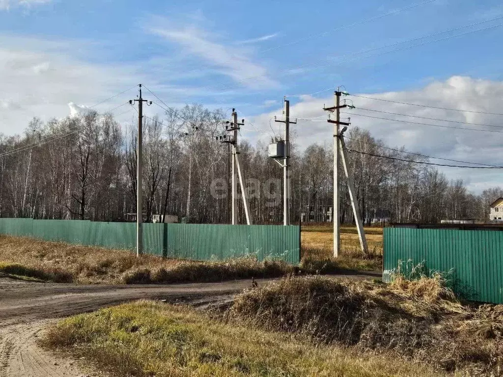 Участок в Новосибирская область, Новосибирский район, Толмачевский ... - Фото 1