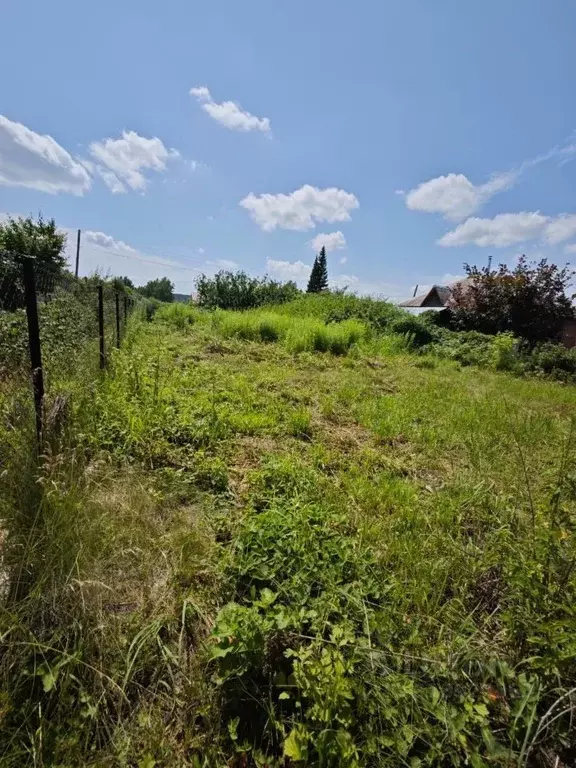 Участок в Алтайский край, Бийский район, с. Малоенисейское Новая ул., ... - Фото 2