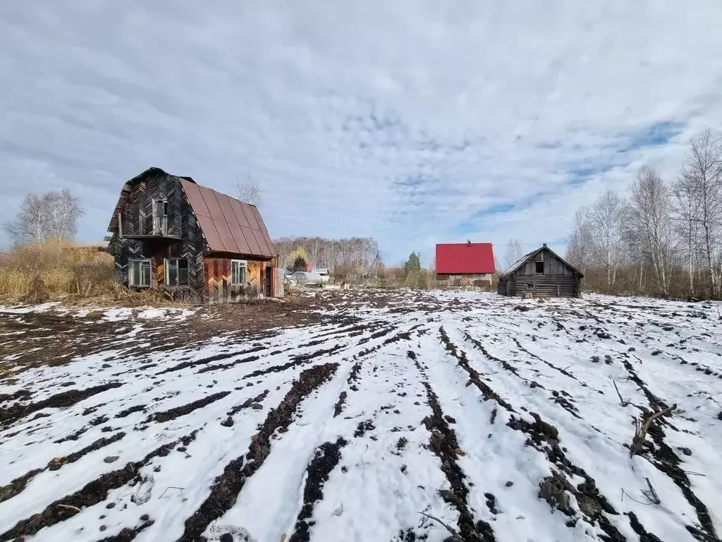 Дом в Тюменская область, Нижнетавдинский район, Мечта ДНТ ул. 5-я (30 ... - Фото 0