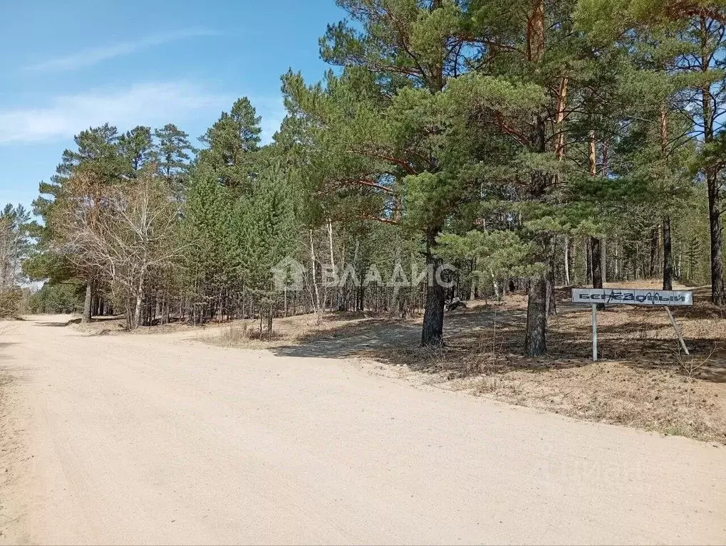 Участок в Забайкальский край, Читинский район, № 103 Березовый СНТ  ... - Фото 1