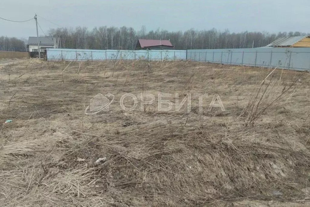 Участок в Тюменская область, Тюмень Якорь садовое товарищество, ул. ... - Фото 0