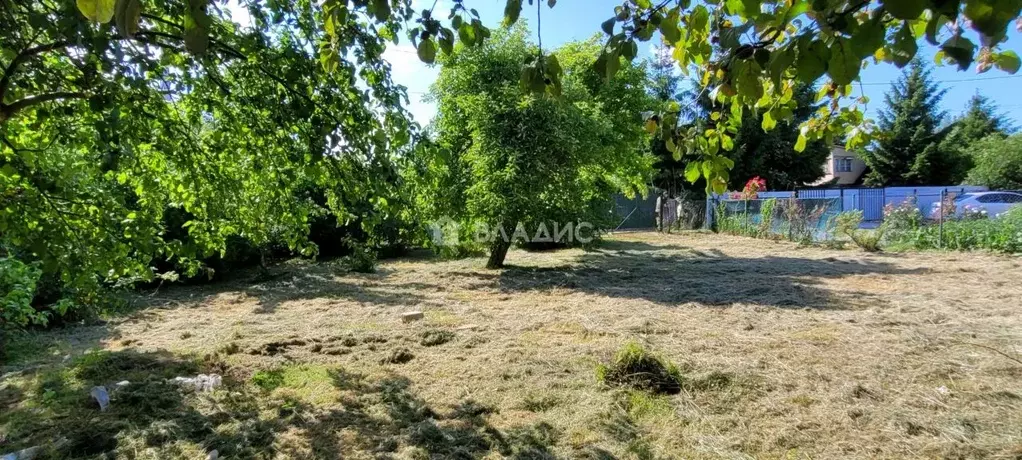 Участок в Калининградская область, Калининград ЦБЗ-1 СНТ, ул. Южная, ... - Фото 2