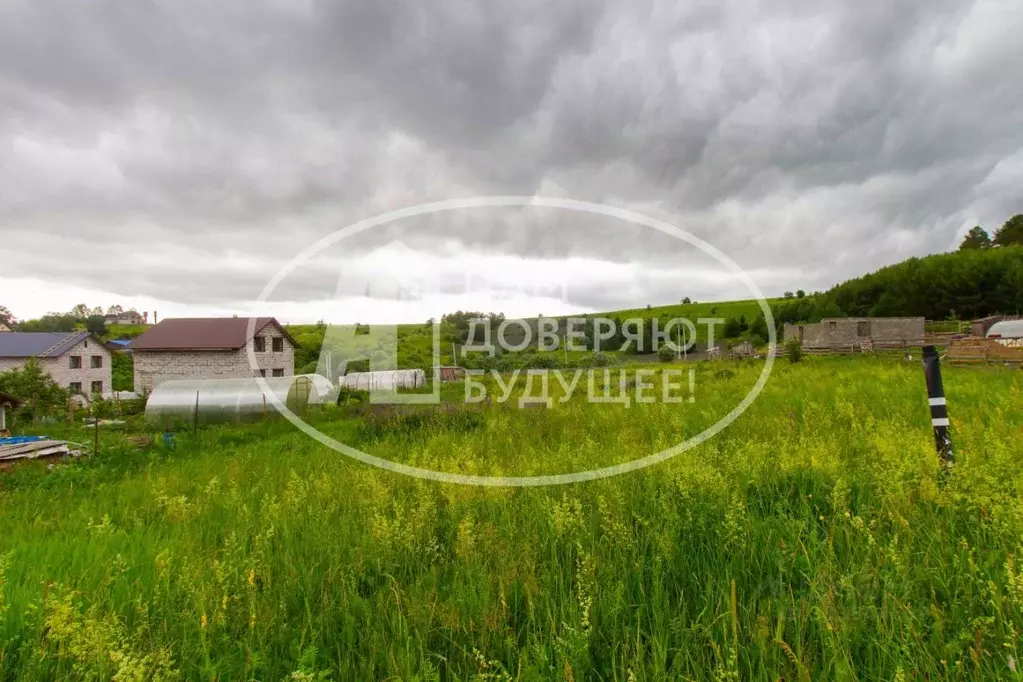 Участок в Пермский край, Чайковский городской округ, с. Фоки  (15.0 ... - Фото 1