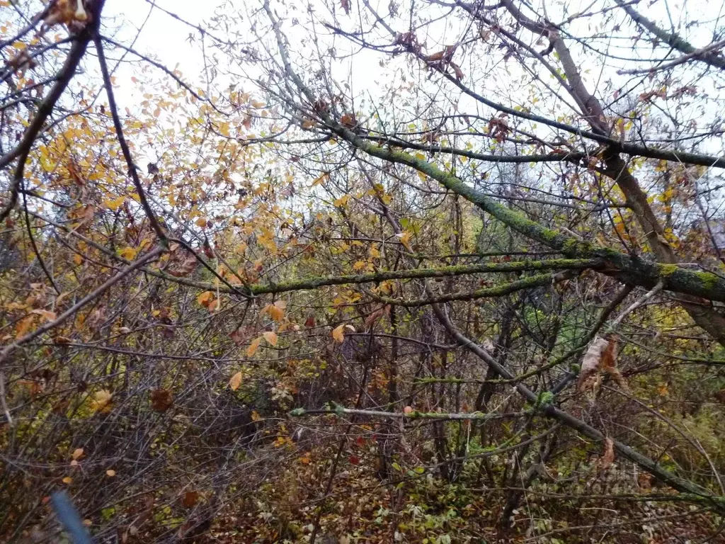 Участок в Московская область, Подольск городской округ, д. Потапово  ... - Фото 1