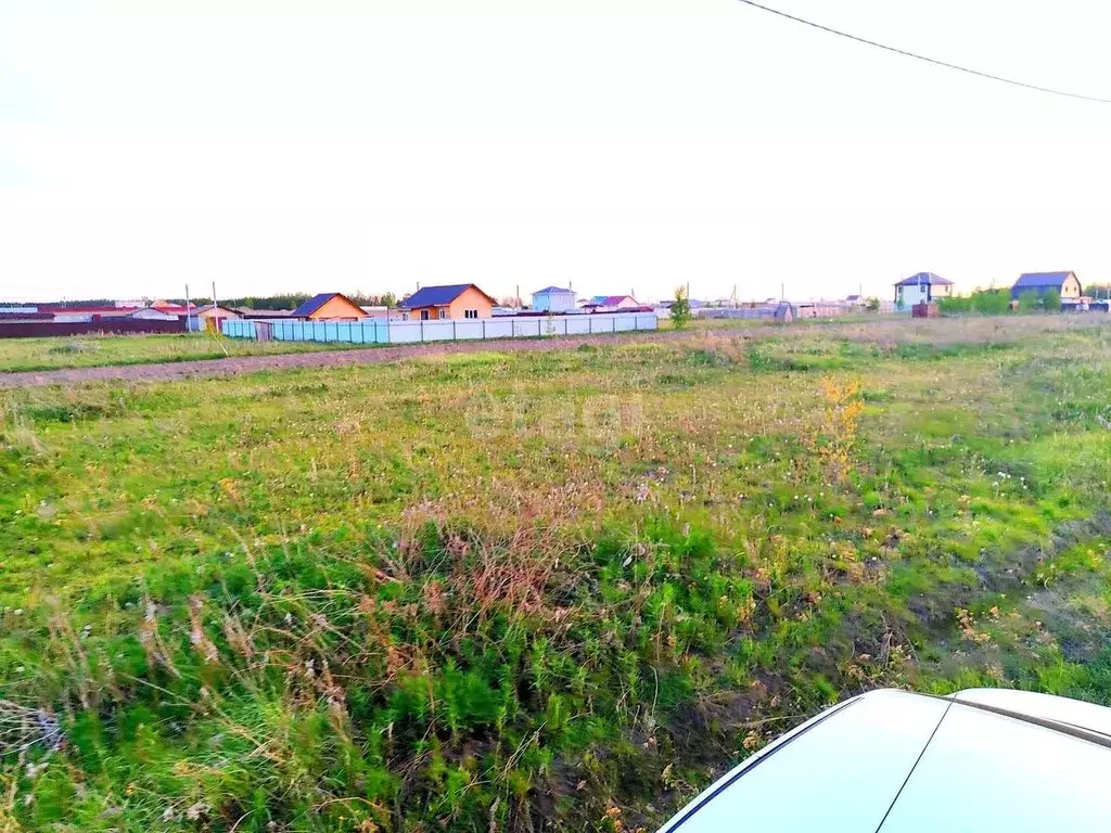 Участок в Тюменская область, Тюменский район, с. Борки ул. ... - Фото 0