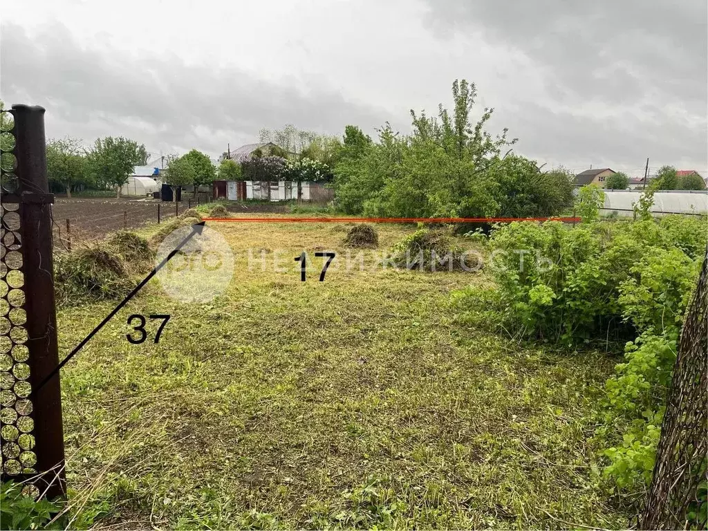 Участок в Рязанская область, Рязанский муниципальный округ, с. Льгово  ... - Фото 2