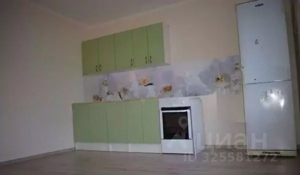 Студия Новосибирская область, Новосибирский район, Мичуринский ... - Фото 2