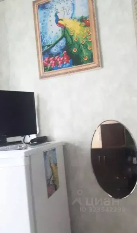 Комната Ростовская область, Ростов-на-Дону Клубная ул., 8 - Фото 2