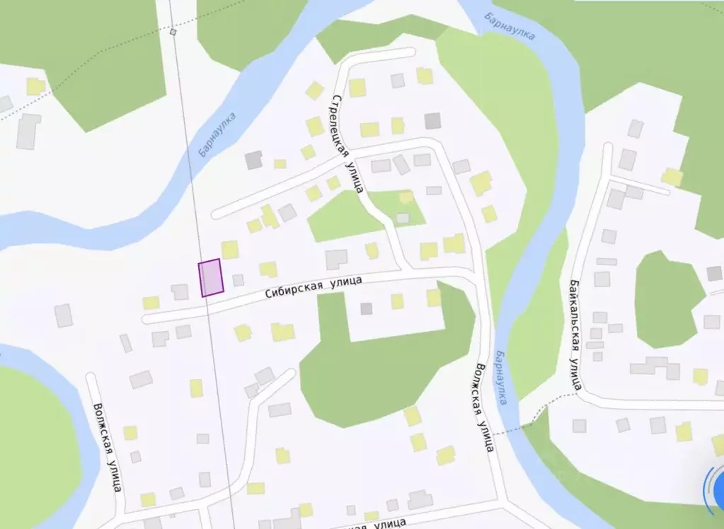 Участок в Алтайский край, Барнаул городской округ, Поселок Борзовая ... - Фото 1