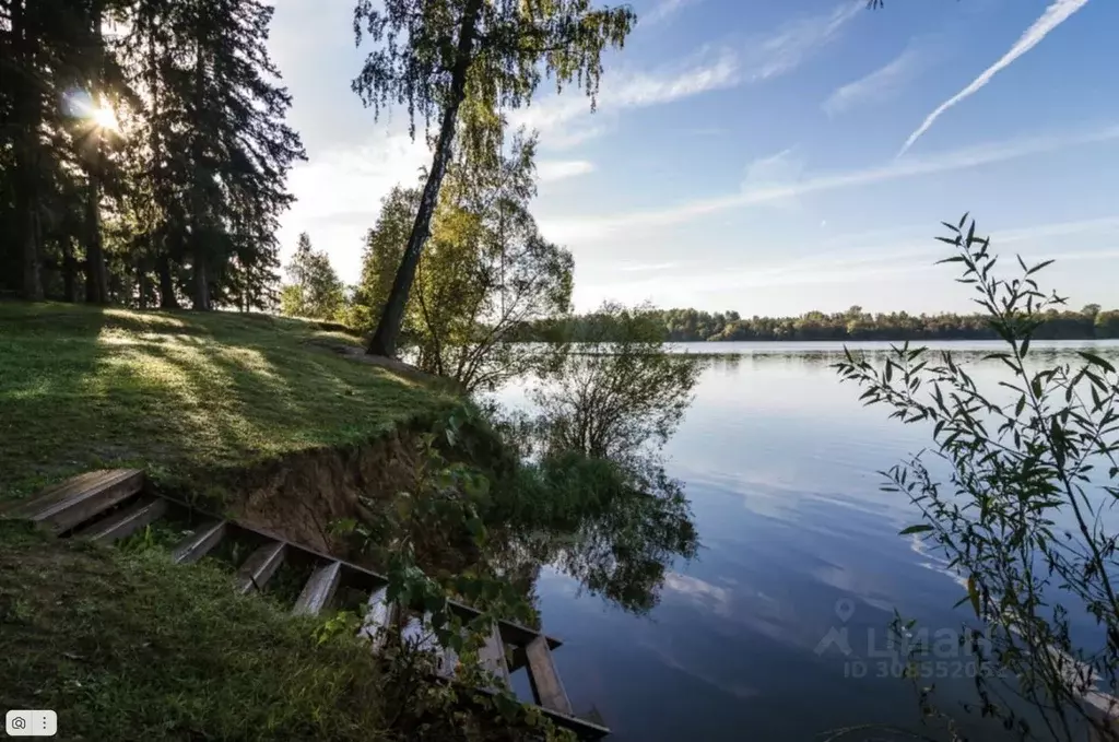 Участок в Московская область, Истра городской округ, д. Ремянники  ... - Фото 1