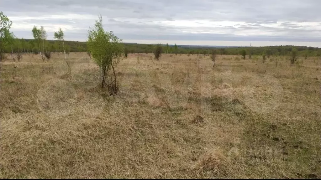 Участок в Тульская область, Алексин городской округ, д. Большое ... - Фото 2