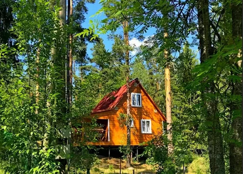 Дом в Ленинградская область, Приозерский район, Сосновское с/пос, ... - Фото 1