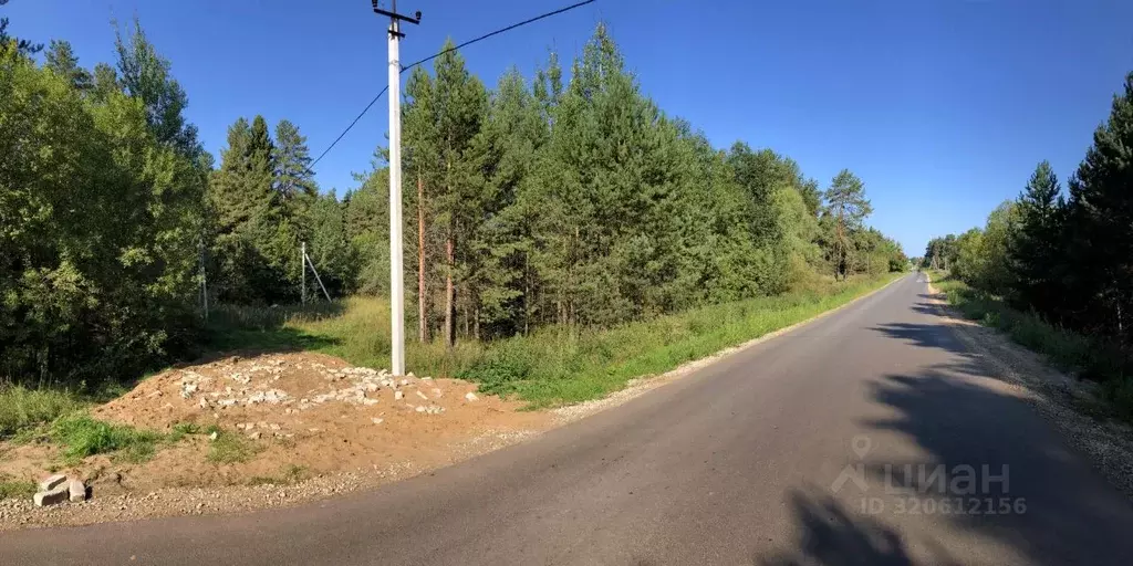 Участок в Кировская область, Слободской район, с. Бобино Советская ул. ... - Фото 2