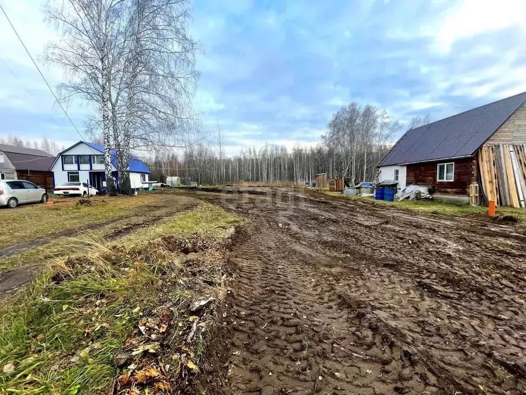 Участок в Новосибирская область, Мошково рп  (8.0 сот.) - Фото 1