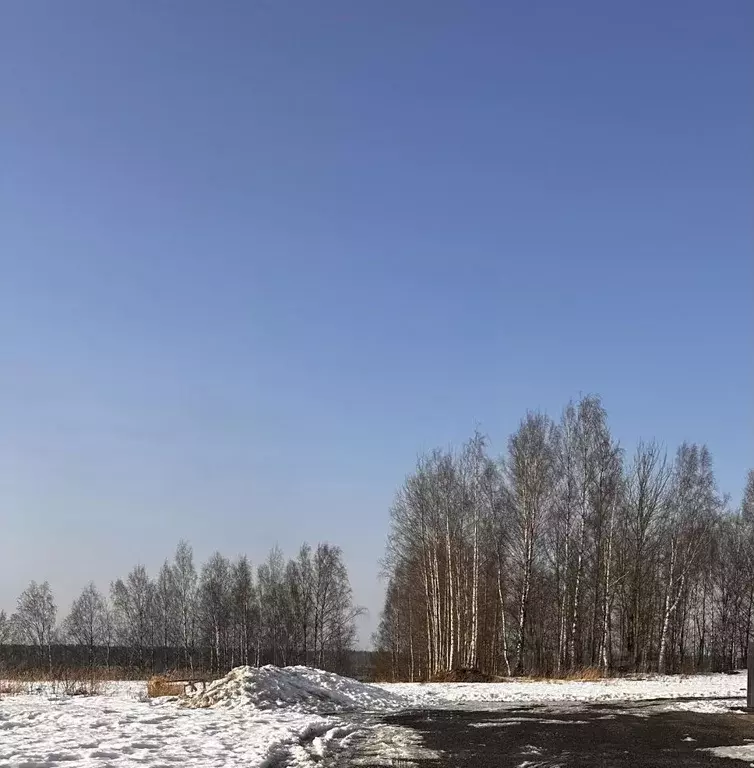 Участок в Ленинградская область, Всеволожский район, Бугровское ... - Фото 2