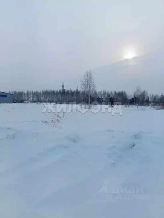 Участок в Новосибирская область, Новосибирский район, Станционный ... - Фото 1