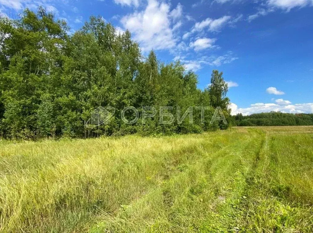 Участок в Тюменская область, Тюменский муниципальный округ, д. Елань ... - Фото 1