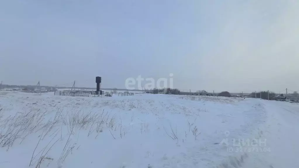 Участок в Новосибирская область, Искитимский район, Шибковский ... - Фото 2