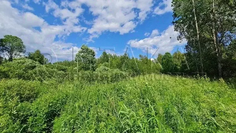 Участок в Ленинградская область, Выборг ш. Калининское (10.4 сот.) - Фото 1